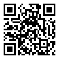 激烈NDS模拟器中文最新版