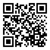 迷失猫