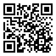 pogavlauncher轻量版
