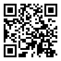 无尽奔跑的猫